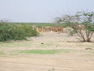 groot/2006_1112sudan0232.jpg